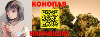 гидропоника Дубна