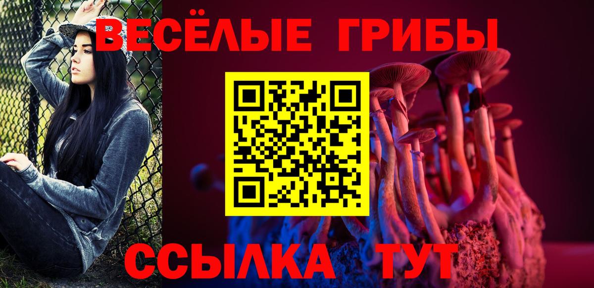 Мытищи  Галлюциногенные грибы мухоморы  Псилоцибиновые грибы GOLDEN TEACHER  Вход с VPN 